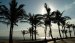  tropicana durban 480c