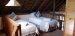 Sondela Nature Reserve bedroom675x320crop50