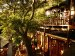 monkeyvalley8