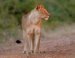 waterberg