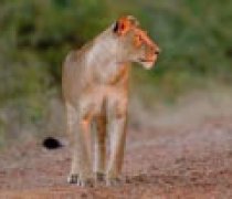 waterberg