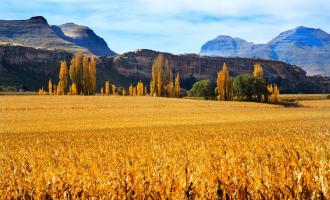 Free State province