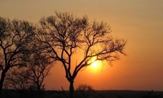 NorthWestProvince